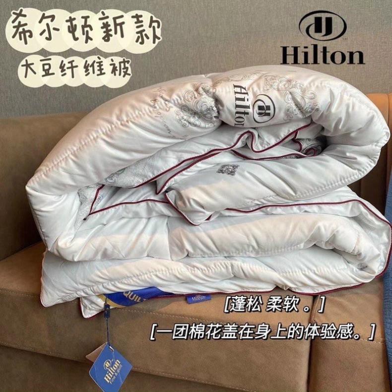 Ruột Chăn Hilton Lông Vũ [ Freeship ] Siêu Nhẹ Hàng Chính Hãng Kích Thước 2m x 2m3