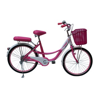 Xe đạp thời trang SMNBike CL 24-02 - 24 inch