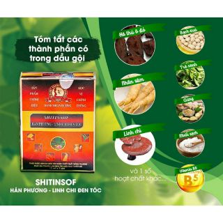 Dầu gội đen tóc Shitinsof - Hán phương linh chi