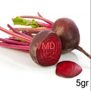 Hạt giống củ dền đỏ