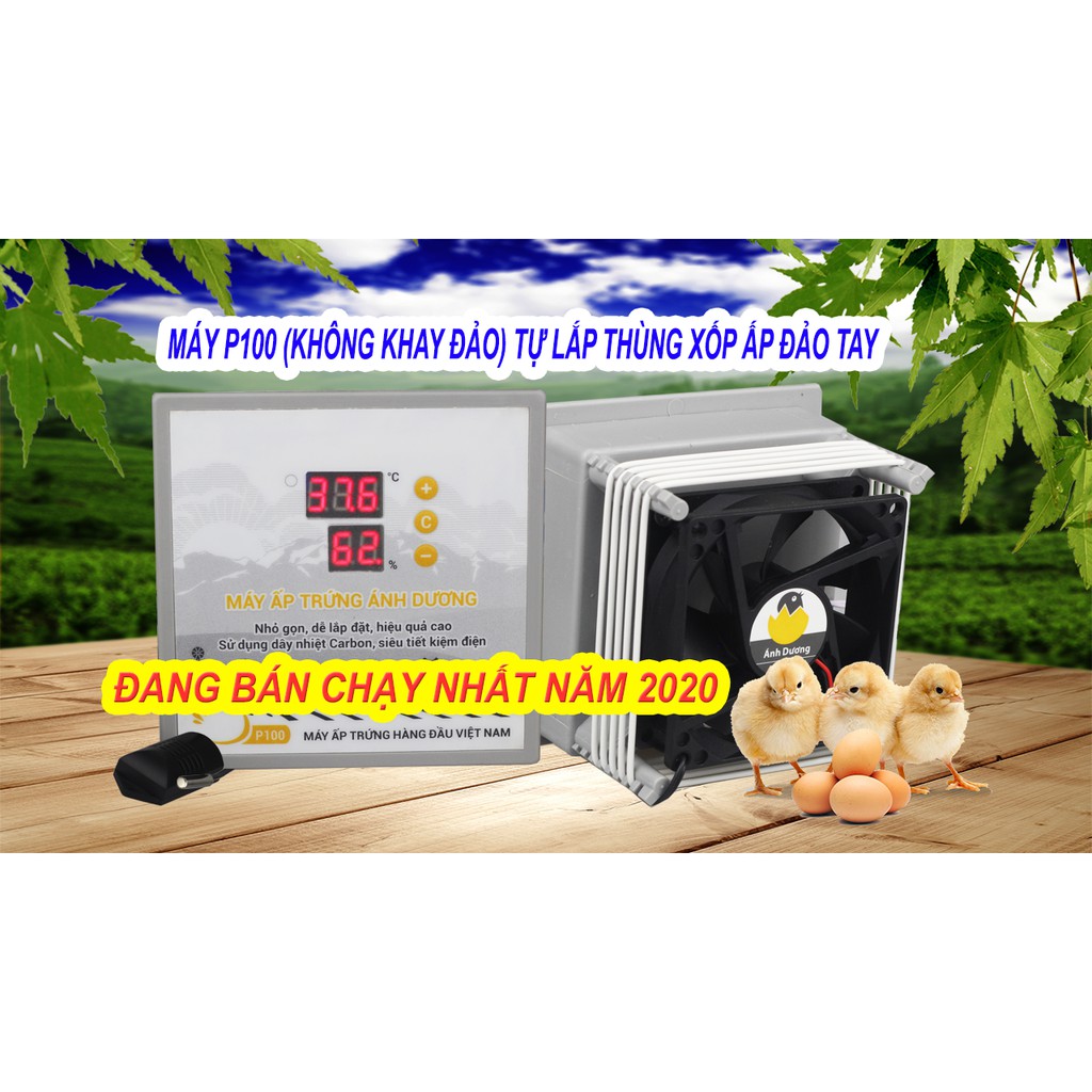 Máy ấp trứng Ánh Dương P100 - Chuyên ấp gà, vịt, ngan, cút, bồ câu nở trên 95% - Bảo hành 12 tháng