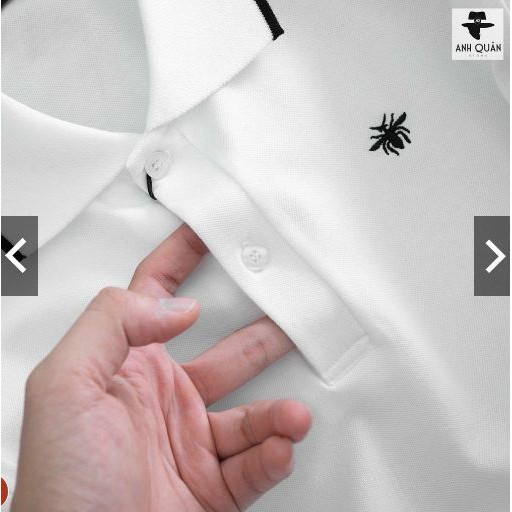 ÁO POLO Nam cổ bẻ Tahstyle phông nam ngắn tay chất liệu cotton cá sấu mềm mát co giãn | BigBuy360 - bigbuy360.vn