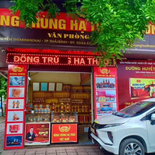 Đông Trùng Hạ Thảo Trường An.v