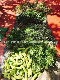 Thảo dược tắm bé