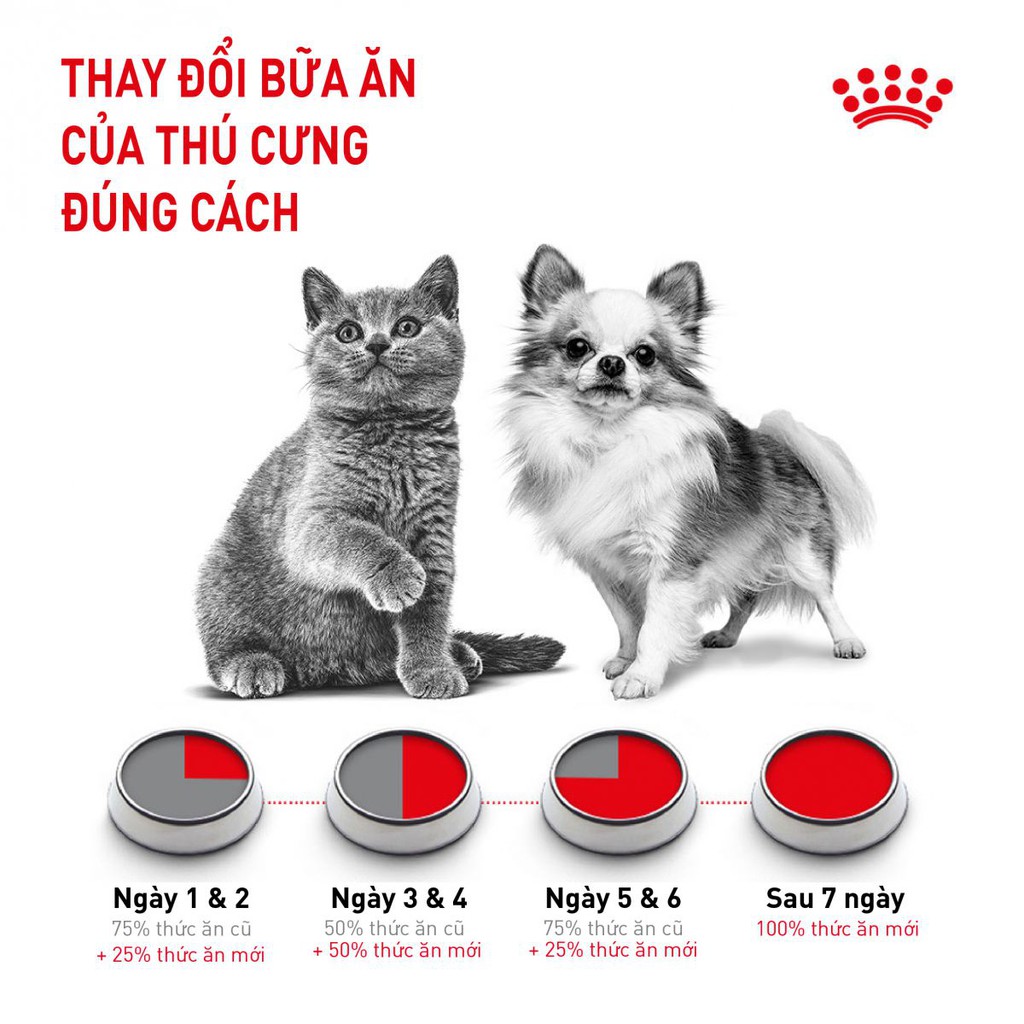 hạt Royal Canin Poodle Adult cho chó Poodle trên 10 tháng tuổi