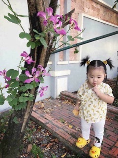 Dép vịt Thái Lan