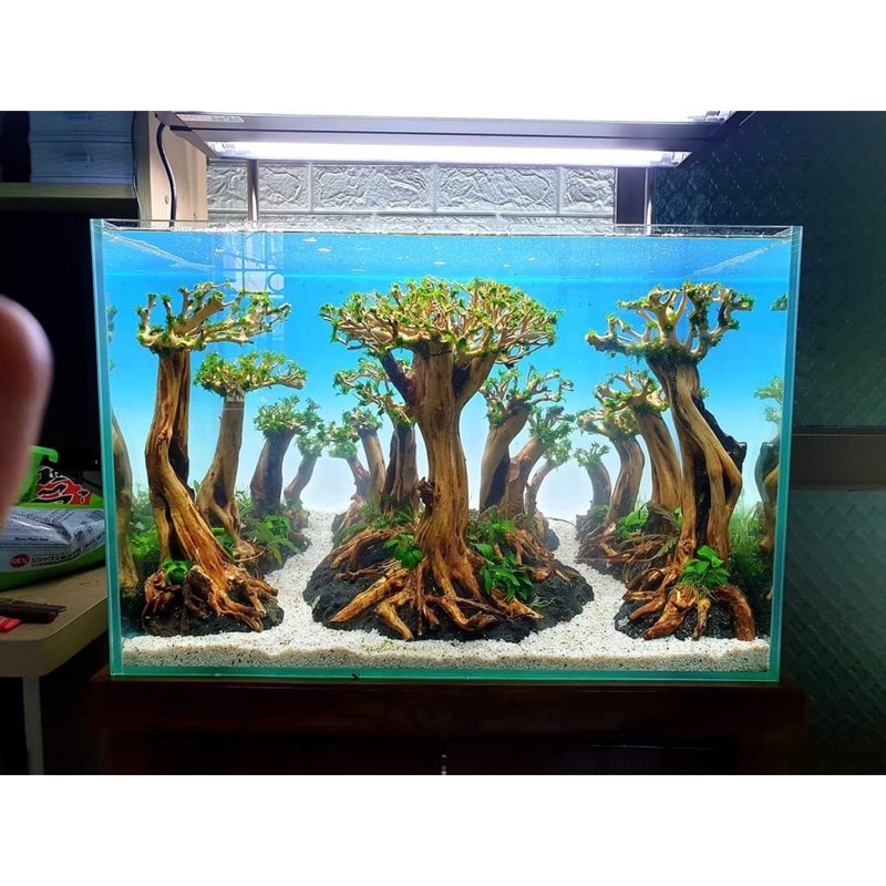 SALE HOT - Tranh dán bể cá OPEN SKY - Giá xưởng sale sập sàn - LEGEND AQUA