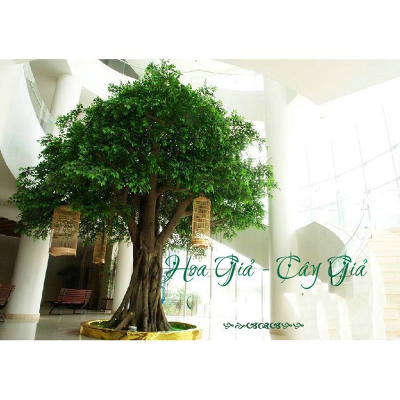 Lá giả - Cành lá si giả làm cây xanh cổ thụ trang trí nhà cửa quán cà phê rất đẹp