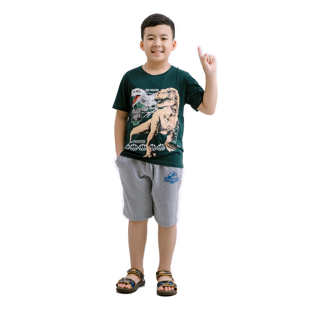 Đủ size - Bộ quần áo bé trai 5 10 tuổi - Đồ bé trai size đại 18-38 kg ngắn tay