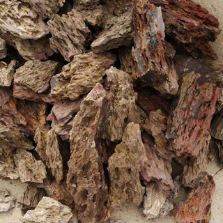 Đá Tiger Thủy Sinh