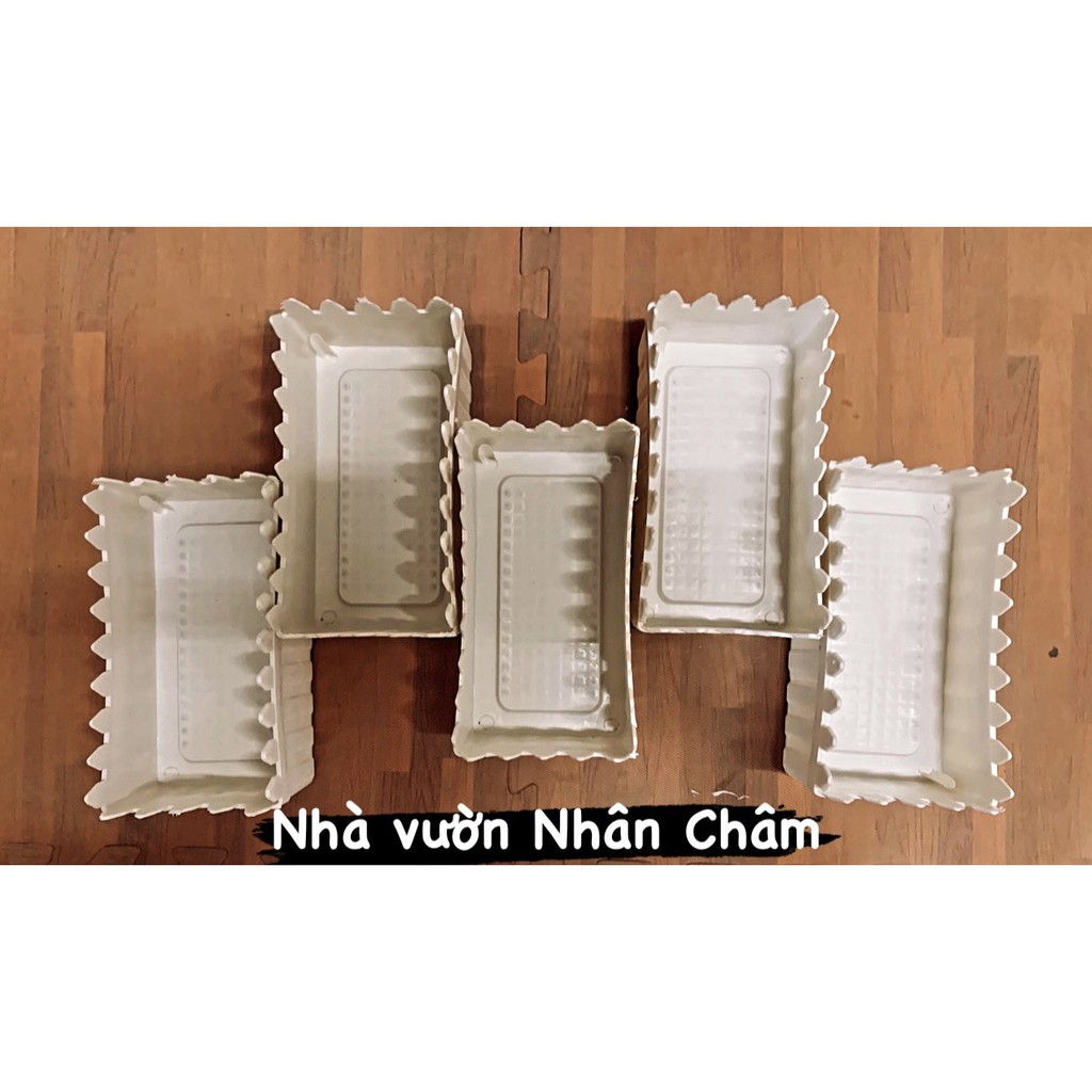 Chậu hàng rào trồng hoa, rau, trang trí nhà cửa