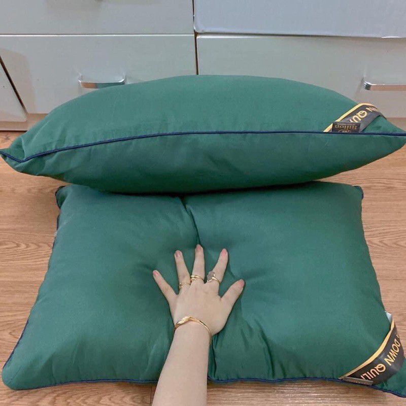 Ruột gối đầu cao cấp Pillow Hilton Ép Hơi, Có Khoá Kéo - Nhiều Màu Tiêu Chuẩn 5* - Kích Thước 45x65cm
