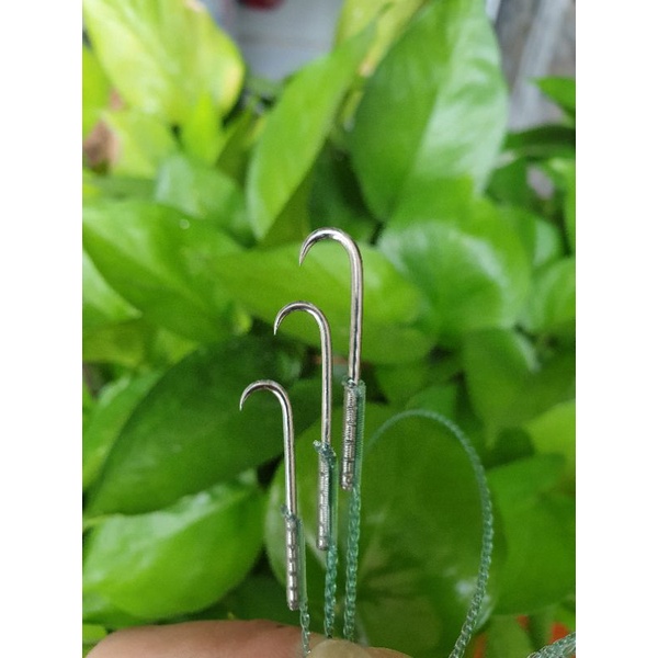 Lưỡi câu lươn tùy chọn kích cở nhỏ vừa lớn
