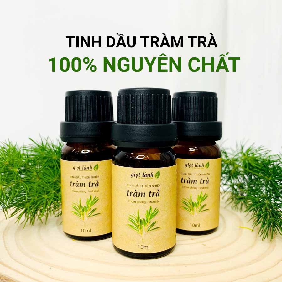 Tinh dầu thiên nhiên Tràm Trà nguyên chất – Tinh dầu tự nhiên xông phòng, thư giãn Giọt Lành 10ml - 50ml