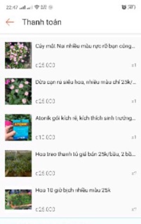 Combo cho khách chỉ 300k