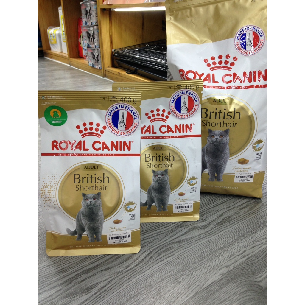 Hạt Mèo Royal Canin british shorthair Cho Mèo Anh Lông Ngắn Trưởng Thành Trên 1 Tuổi