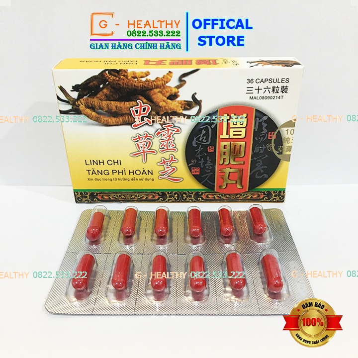Viên Uống Tăng Cân Malaysia Linh Chi Tăng Phì Hoàn - G HEALTHY