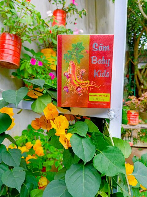 {Tặng 2 gói} Sâm Baby Kids Ăn Ngủ Ngon | BigBuy360 - bigbuy360.vn