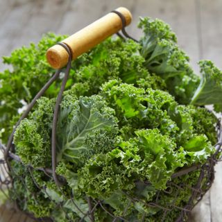 HẠT GIỐNG CẢI XOĂN