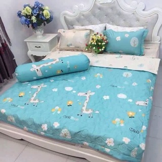 set 3 món ga gối chun cotton poly