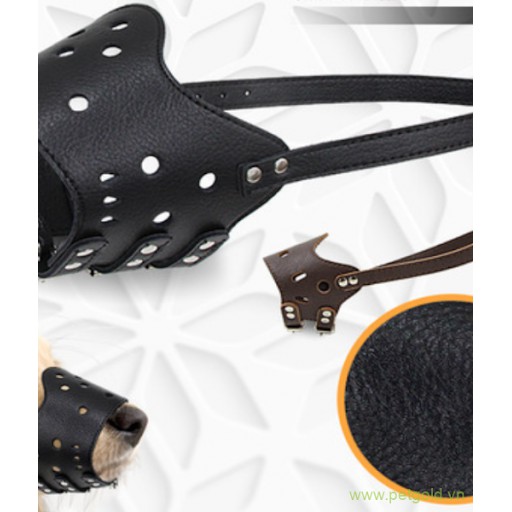 Khớp mỏ da cho chó