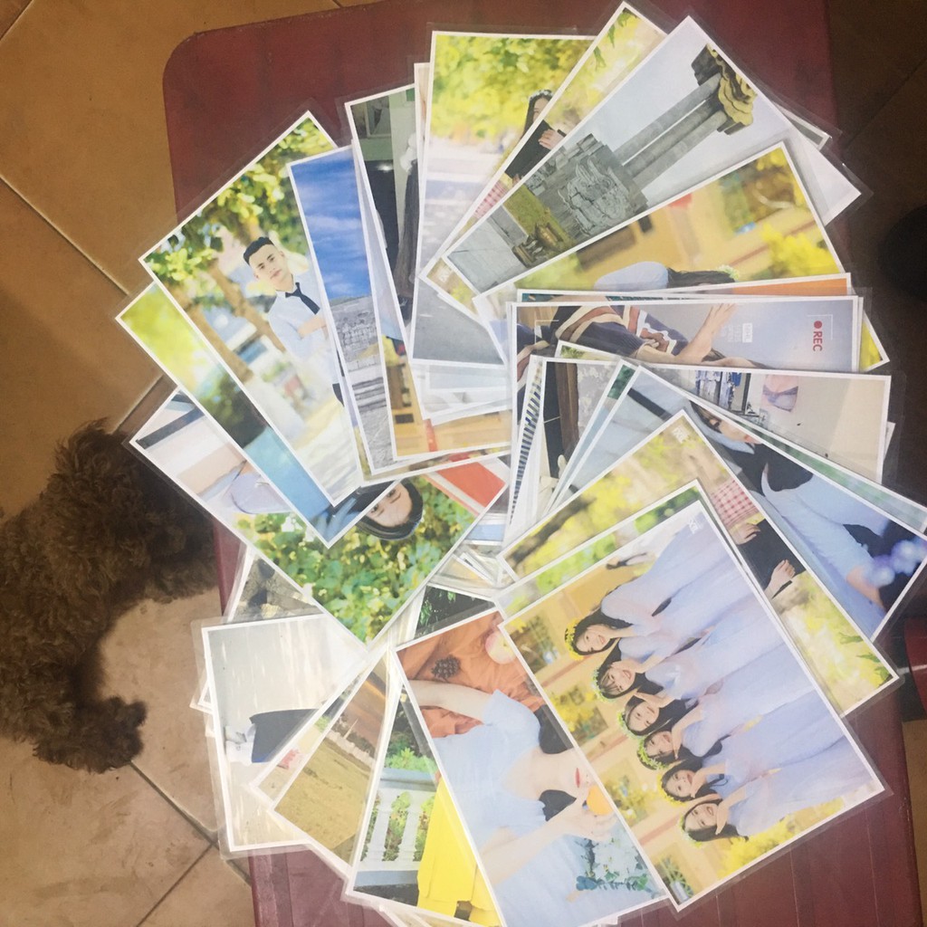 In ảnh Kích thước 10*15 | BigBuy360 - bigbuy360.vn