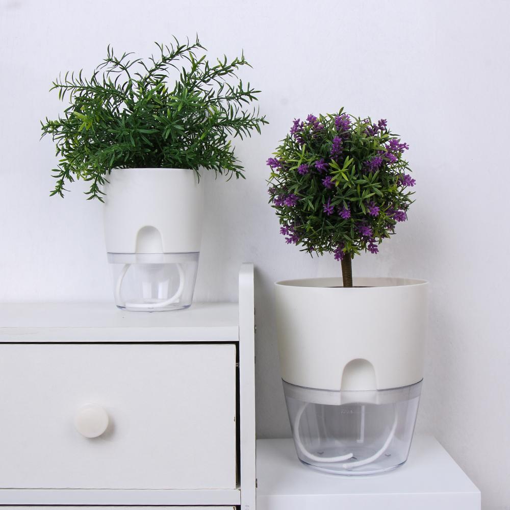 LEISURE Chậu Trồng Cây Thủy Canh 2 Lớp Trong Suốt Hình Tròn Hấp Thụ Nước Kèm Dây Thừng cotton
