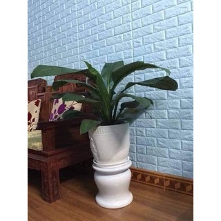 xốp dán tường