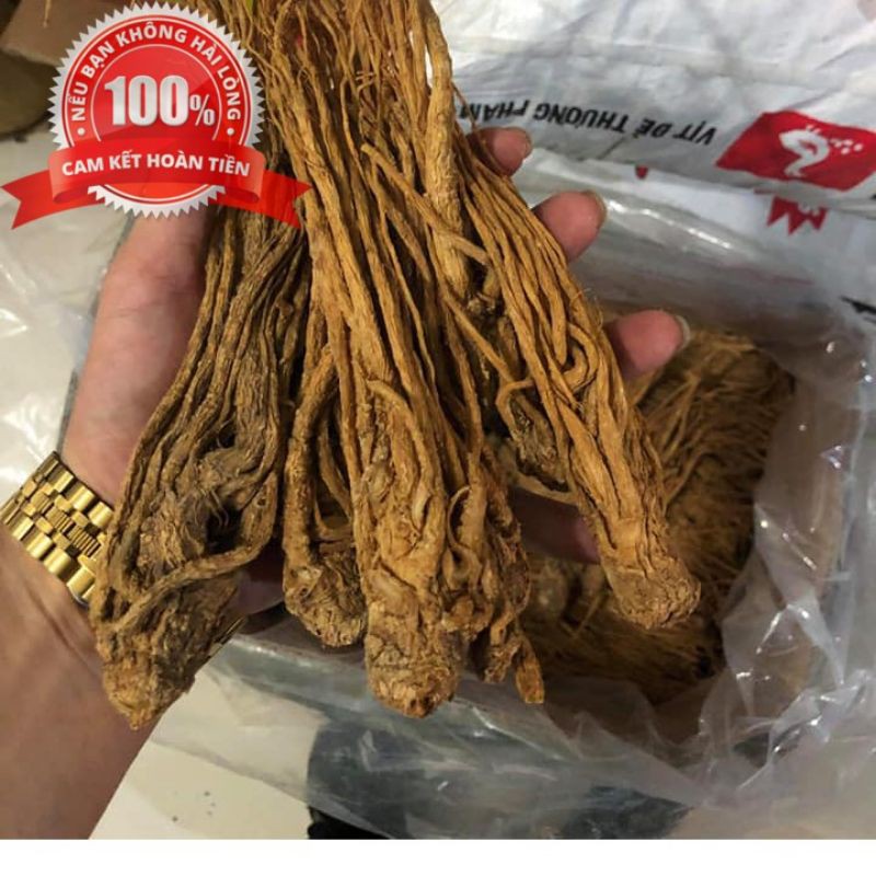 100gr Sâm đương quy khô ngâm rượu rất tốt