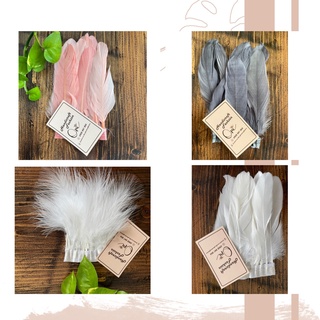 Lông vũ làm Dreamcatcher