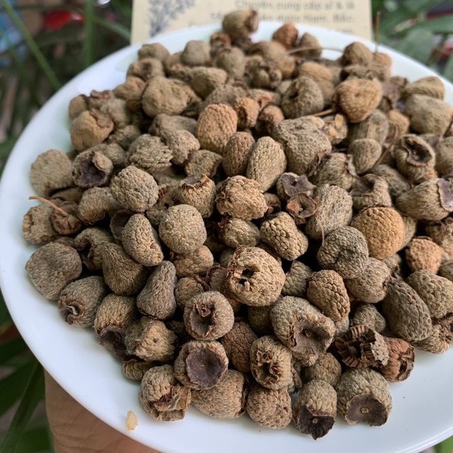 Phúc Bồn Tử 100GRAM