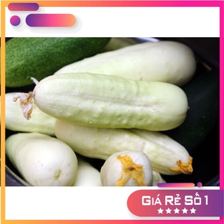 Hạt giống dưa chuột Trắng nếp - 80 hạt