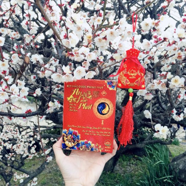 Bột phong thủy Alofa | BigBuy360 - bigbuy360.vn