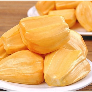 CÂY GIỐNG MÍT THÁI  cây cấy mô