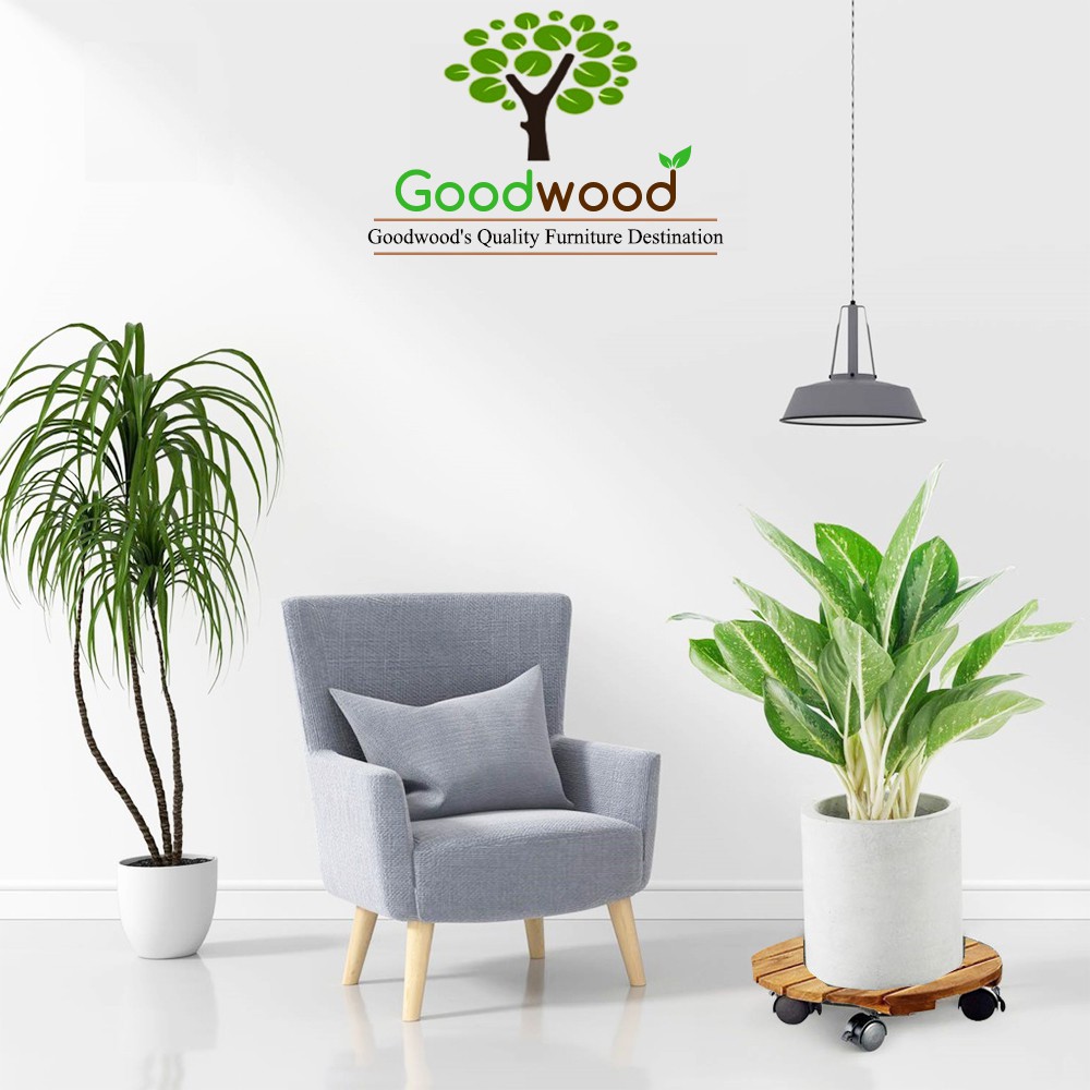 Đế để chậu cây có bánh xe Goodwood Kệ giá đỡ lót chậu cây di chuyển đa năng R30xC8cm chịu lực 80kg