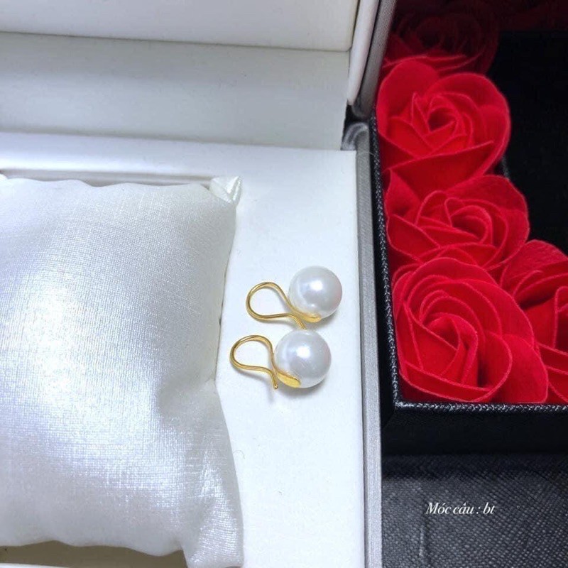 Bông Tai Nữ Dáng Móc Câu Trai