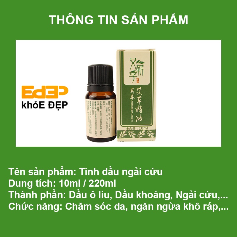 Tinh Dầu Massage Ngải Cứu Dùng Spa, Xông Hơi, Xoa Bóp