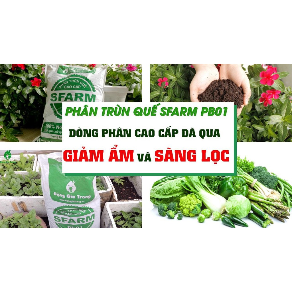 Phân trùn quế SFARM cao cấp 2KG - phân bón hữu cơ trồng cây, trồng rau, cây cảnh nội thất, cây hoa kiểng