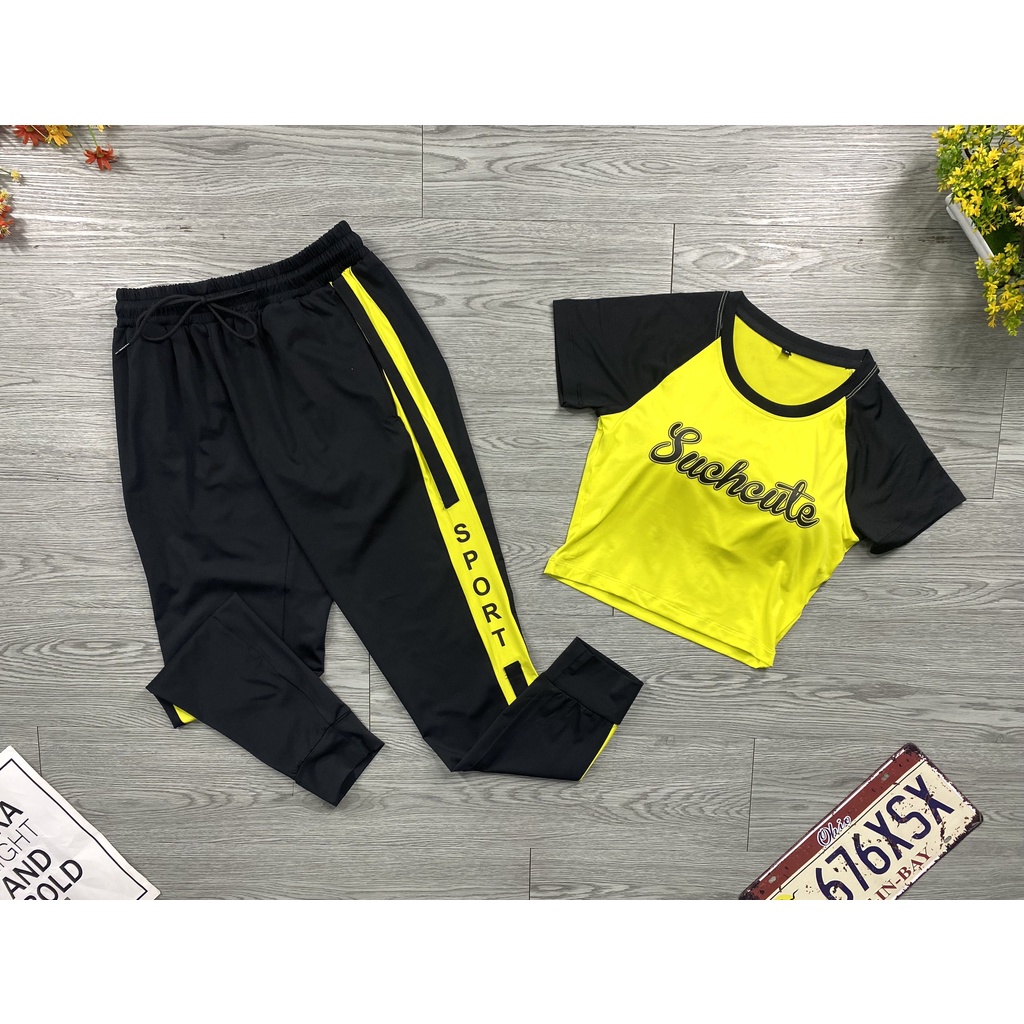 [ XẢ KHO ] Bộ Thể Thao Nữ Thun Co Giãn 4 Chiều Tập Gym Yoga Ecrobic