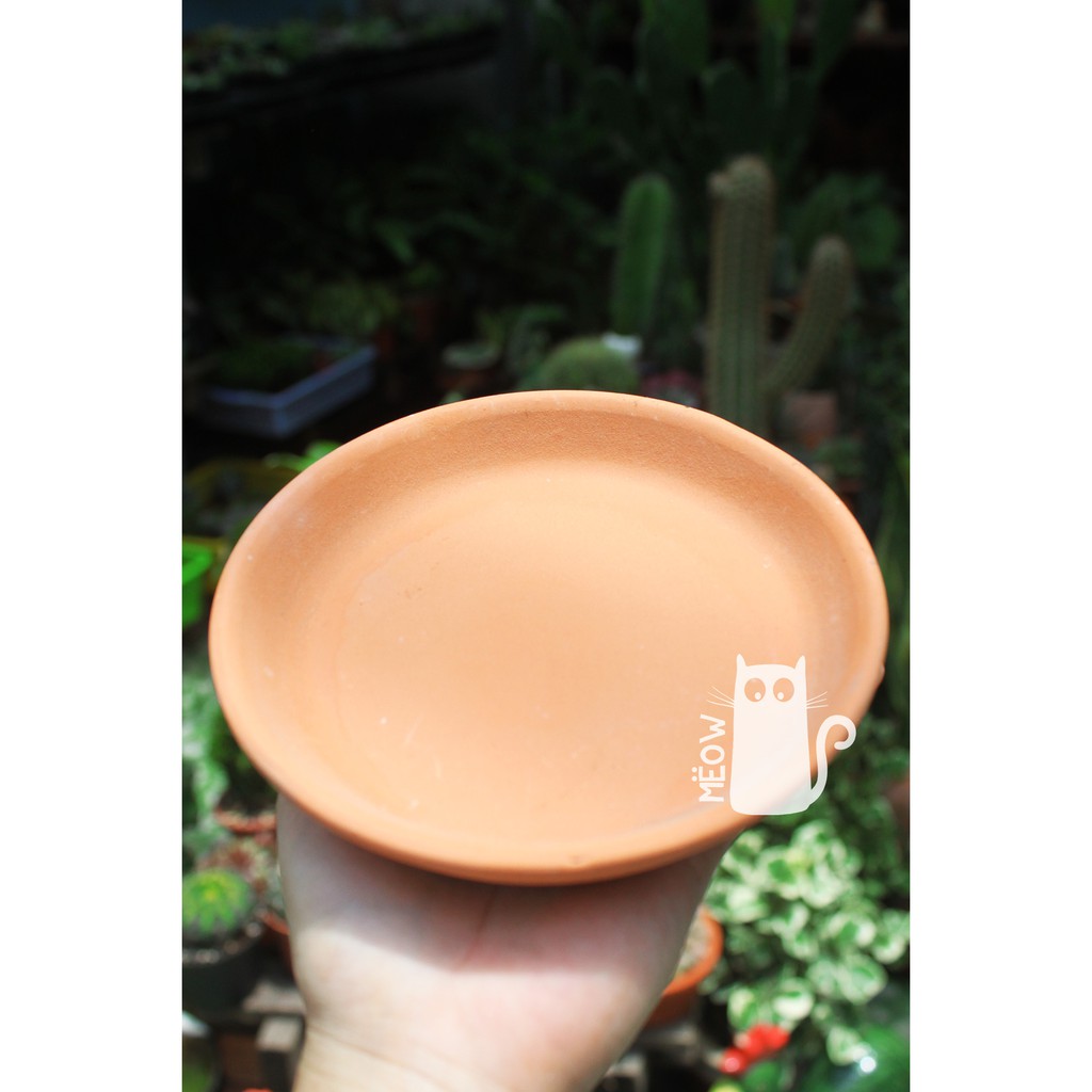 Dĩa lót chậu đất nung nhiều size