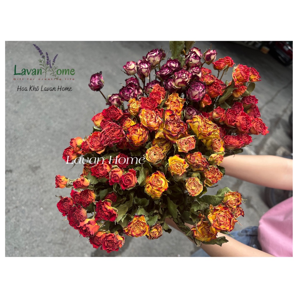 Hoa hồng sấy khô vintage-Rosie Dried Flowers trang trí phòng, tiệc retro, trang trí thiệp, nến thơm -hoa hồng size 1-3cm