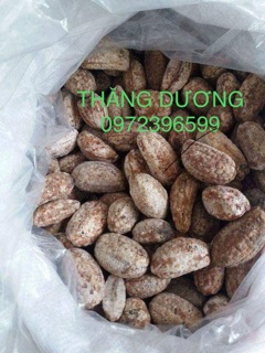 Combo 3kg chuối hột rừng Tây Bắc quả chín cây