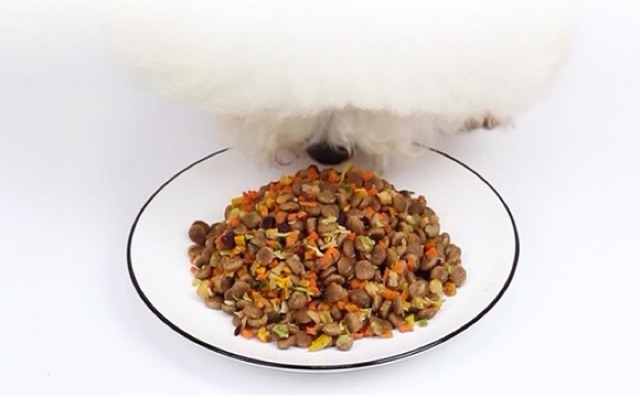 Rau củ & trái cây sấy khô trộn hạt cho chó mèo