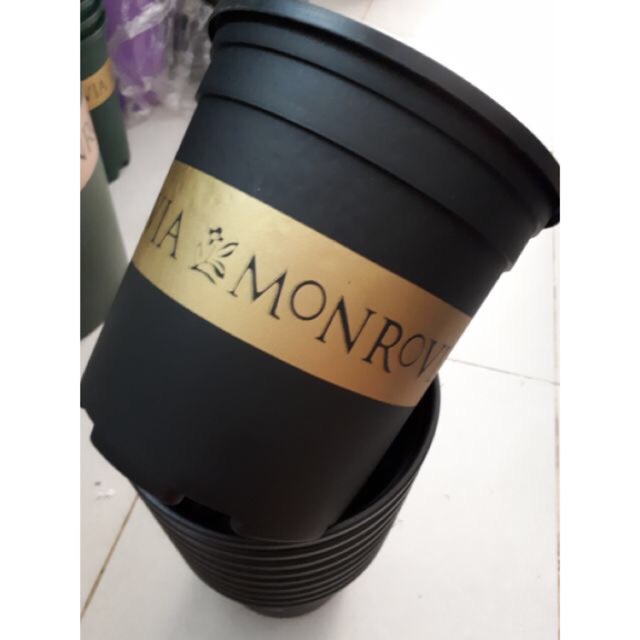 Chậu monrovia 1gl màu xanh