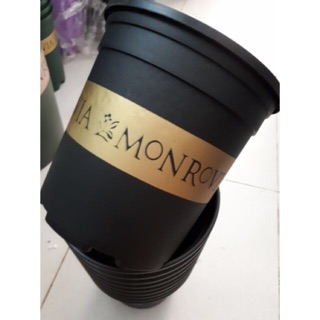 Chậu monrovia 1gl màu xanh