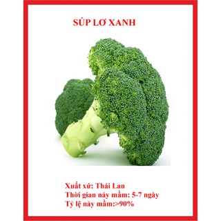 hạt giống súp lơ xanh gói 100 hạt