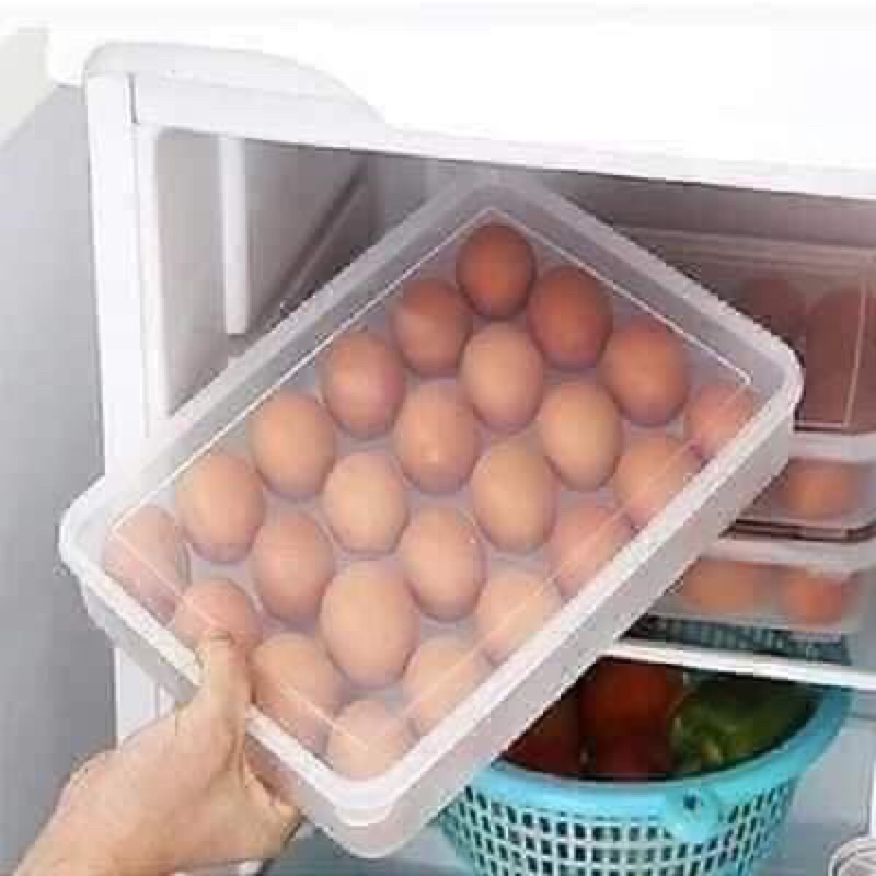 Hộp đựng trứng , khay đựng trứng 24 ô có nắp đậy mã 6786