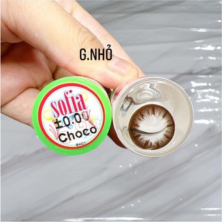 Lens Không Độ - Choco