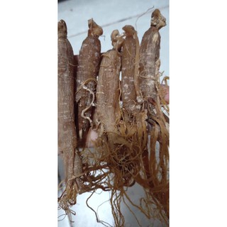 Hồng sâm 100G