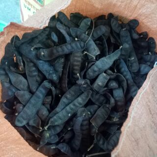 Bồ kết khô 500gr